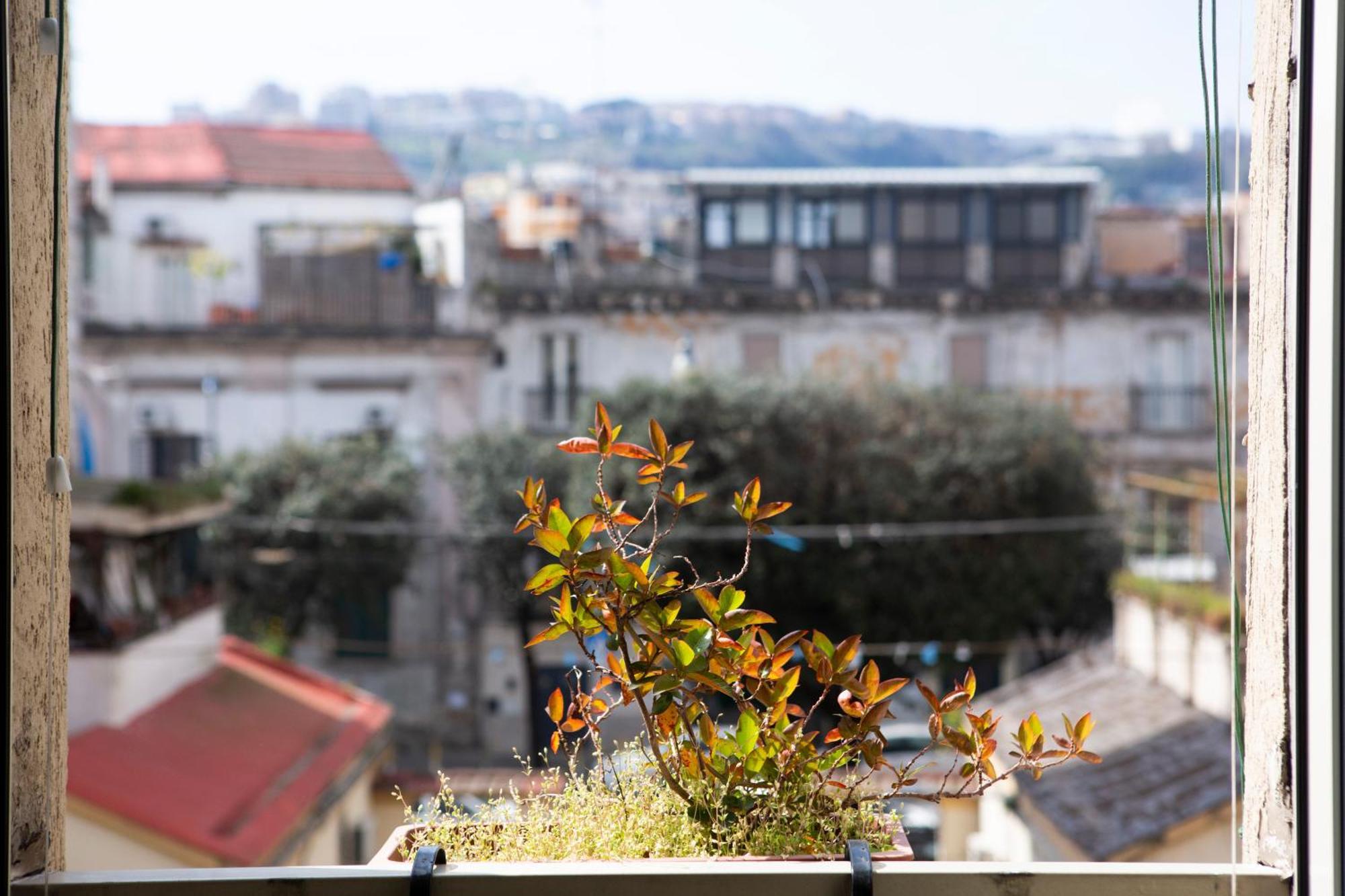 Bnb Etnuvio, Double Rooms In Napoli Eksteriør bilde